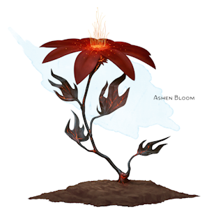 Ashen Bloom